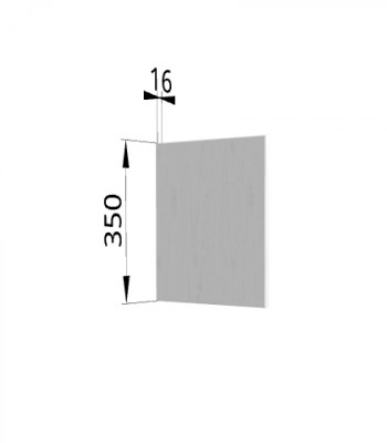 Панель торцевая (для шкафа горизонтального) ПГ Ройс (Графит софт) в Здвинске - zdvinsk.mebel54.com | фото