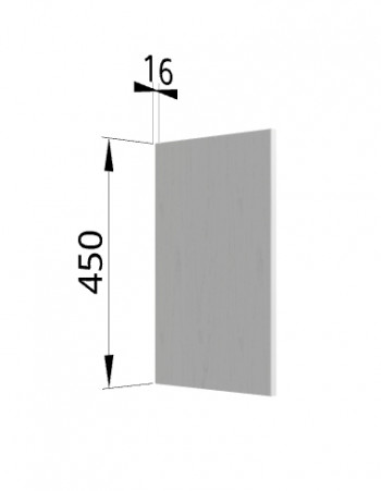 Панель торцевая (для шкафа горизонтального высокого) ВПГ Ройс (Графит софт) в Здвинске - zdvinsk.mebel54.com | фото
